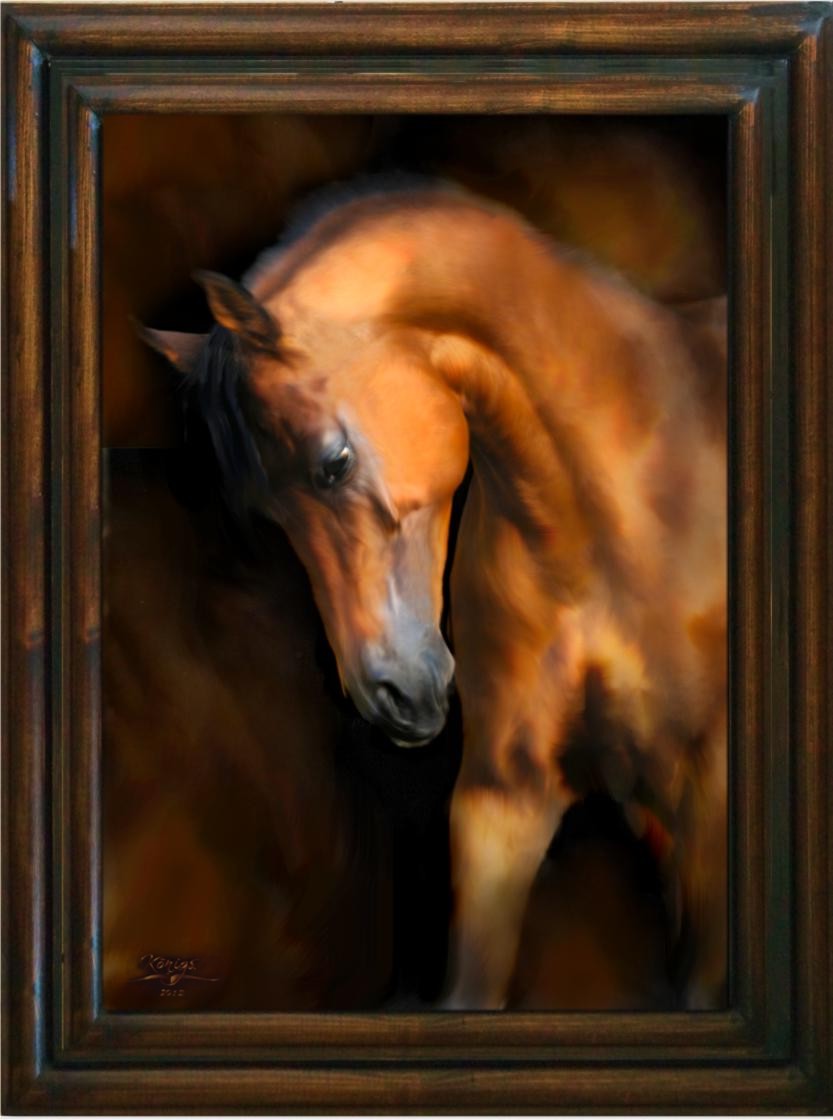 Horse4